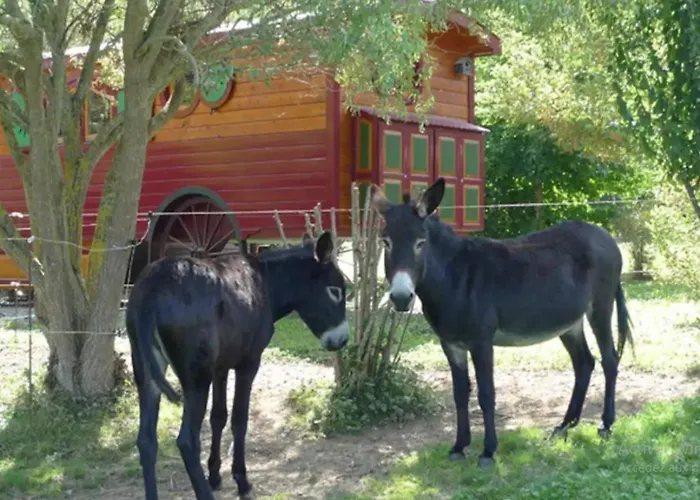 度假居 Pres De Sedeilhac Avec Jardin Et Terrasse